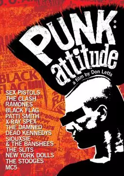 Угол зрения. История панк-рока - постер