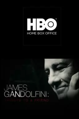 James Gandolfini: Tribute to a Friend - постер