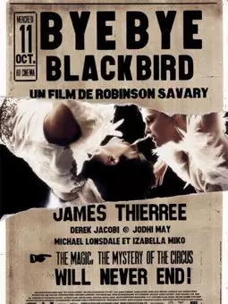 Bye Bye Blackbird - постер