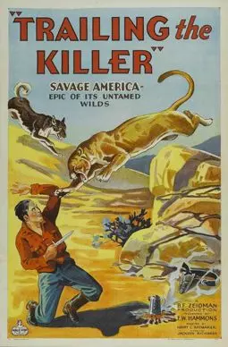 Trailing the Killer - постер