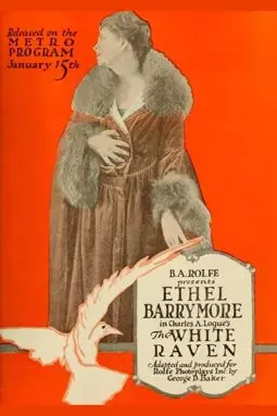The White Raven - постер