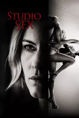 Студия секса - постер