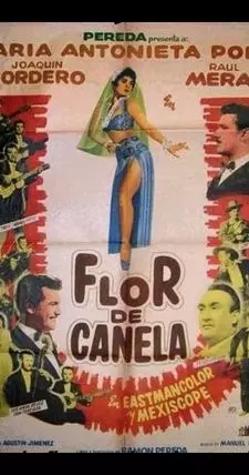 Flor de canela - постер