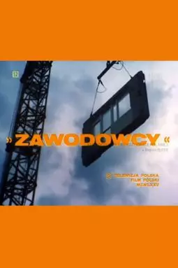 Zawodowcy - постер