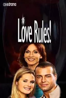 Love Rules! - постер