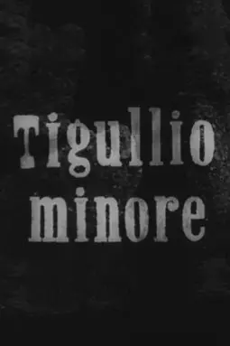 Tigullio minore - постер