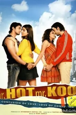 Mr. Hot Mr. Kool - постер