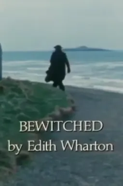 Bewitched - постер