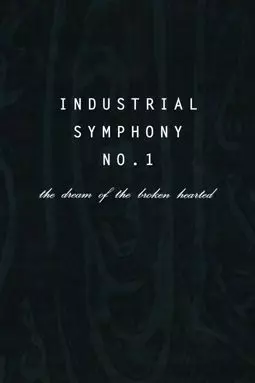 Индустриальная симфония 1 - постер