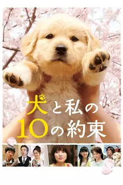 10 обещаний моей собаке - постер