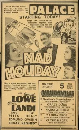 Mad Holiday - постер