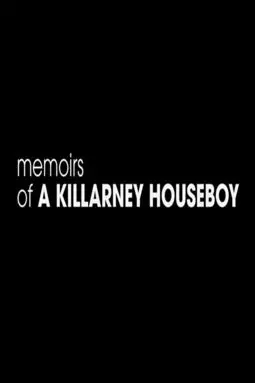 Memoirs of a Killarney Houseboy - постер