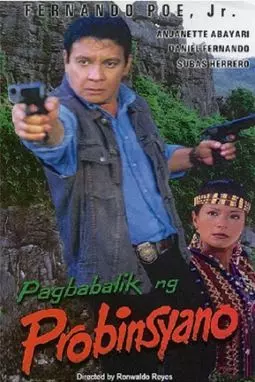 Pagbabalik ng probinsyano - постер