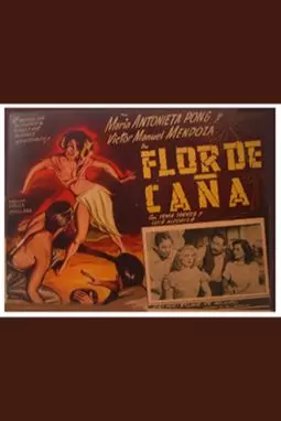 Flor de caña - постер