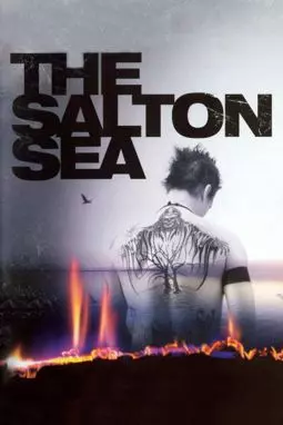 Море Солтона - постер