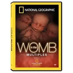 In the Womb: Multiples - постер