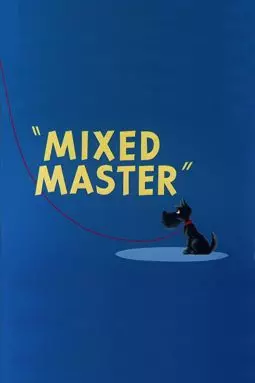 Mixed Master - постер