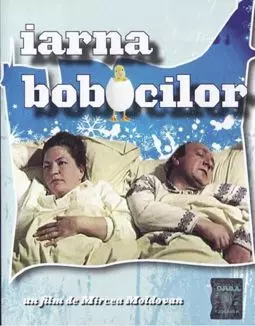 Iarna bobocilor - постер