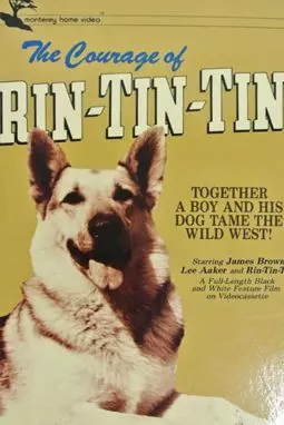 The Challenge of Rin Tin Tin - постер