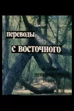 Переводы с восточного - постер