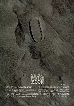 Лунная миссия - постер