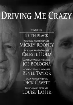 Driving Me Crazy - постер