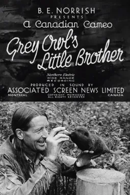 Grey Owl's Little Brother - постер