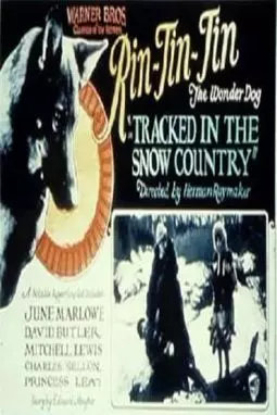 Tracked in the Snow Country - постер