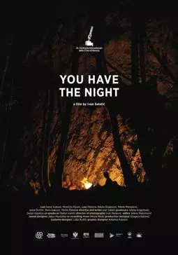 Твоя ночь - постер