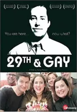Двадцатидевятилетие гея - постер
