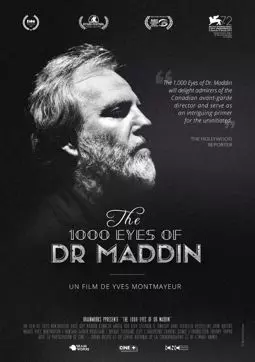 1000 взглядов доктора Мэддина - постер