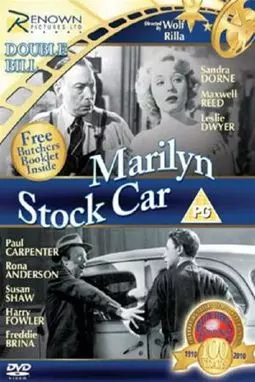 Stock Car - постер