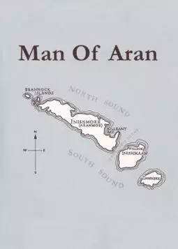 Человек из Арана - постер