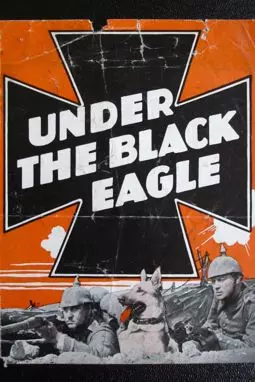 Under the Black Eagle - постер