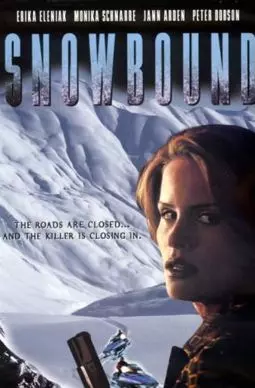 Snowbound - постер