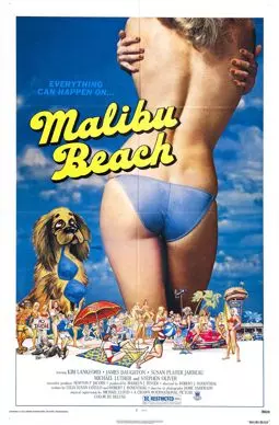 Пляж Малибу - постер