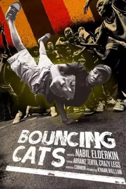 Bouncing Cats - постер