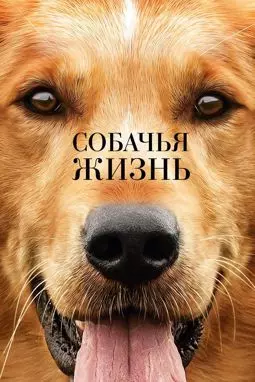 Собачья жизнь - постер