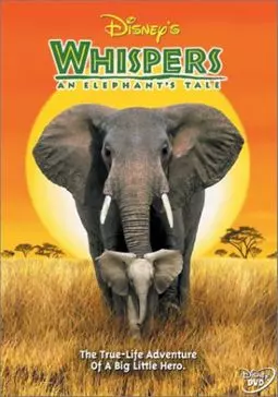 Приключения слона - постер