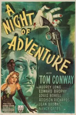 A night of Adventure - постер