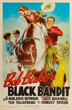Black Bandit - постер