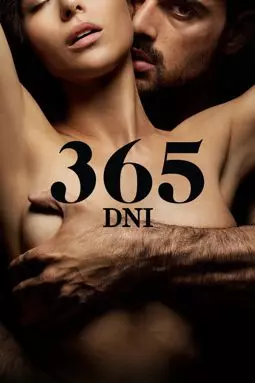 365 дней - постер