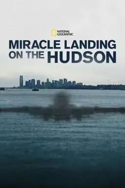 Miracle Landing on the Hudson - постер