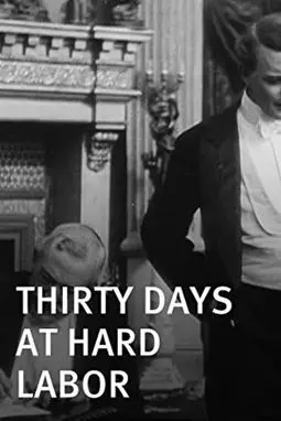 Thirty Days at Hard Labor - постер