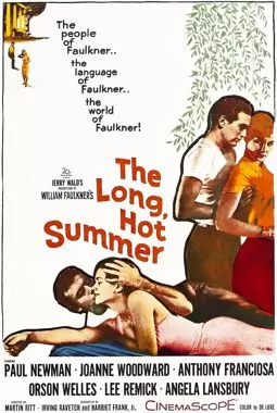 Долгое жаркое лето - постер