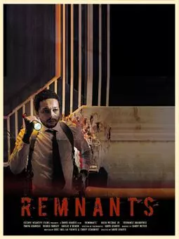 Remnants - постер