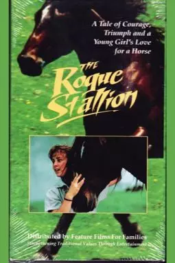 The Rogue Stallion - постер