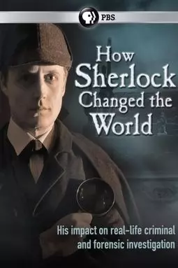 How Sherlock Changed the World - постер