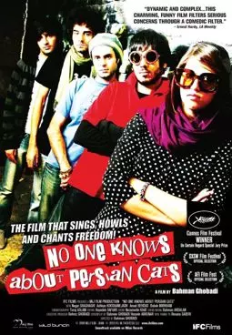 Никто не знает о персидских котах - постер
