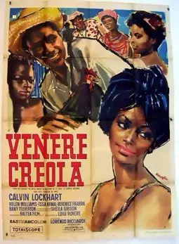 Venere creola - постер